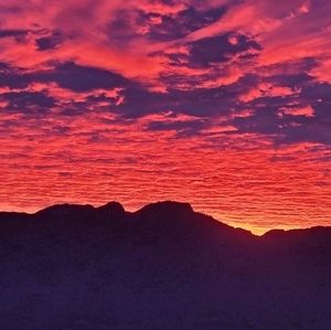 Meet your Posher, Mona